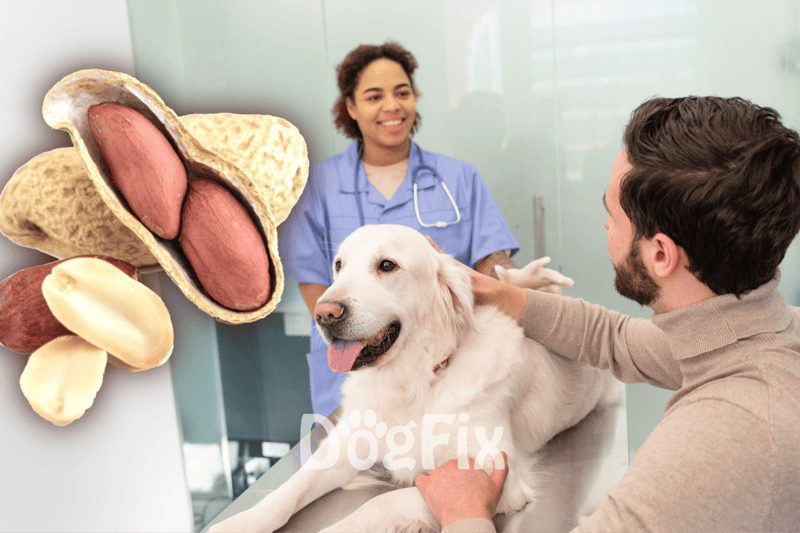 Vet and pet owner consultation at veterinary clinic for dogs.