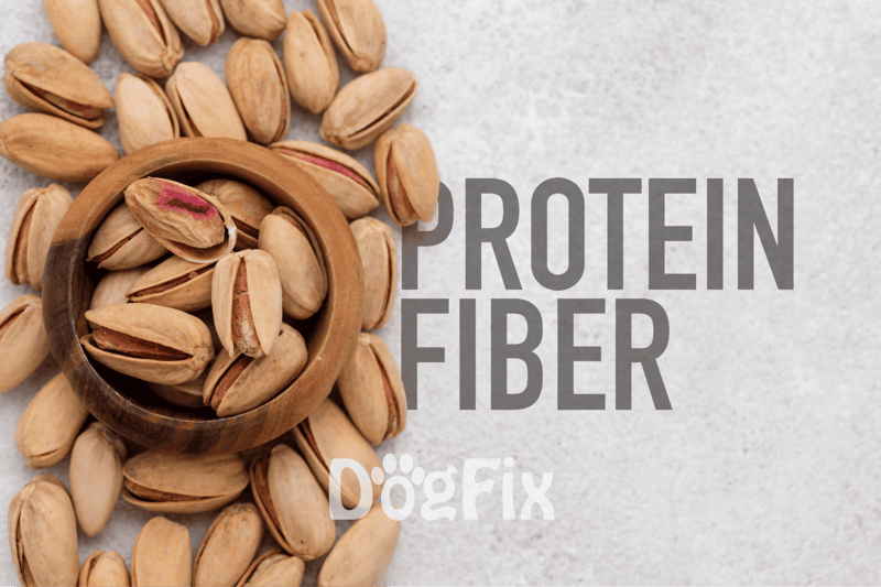 Pistachios with healthy protein and fiber for dogs and humans.
