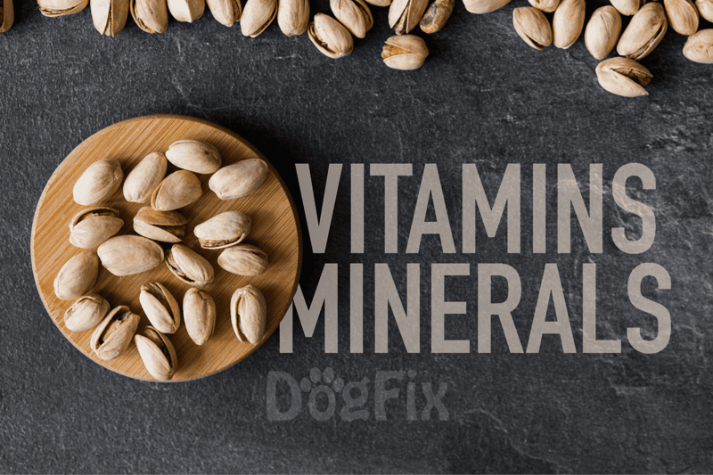 Pistachio nuts and minerals on slate, healthy dog nutrition, pet vitamins and supplements, Dogfix.