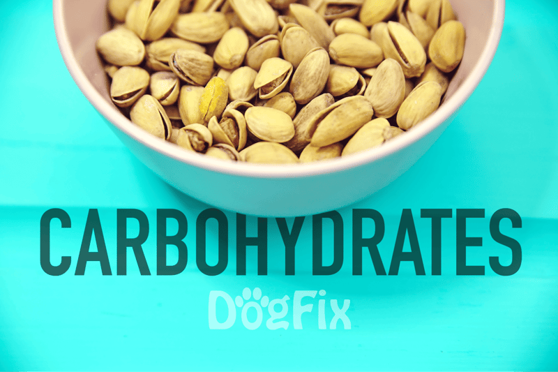 Healthy high-fiber carbohydrate food for dogs, showing pistachios in a bowl on a turquoise background.