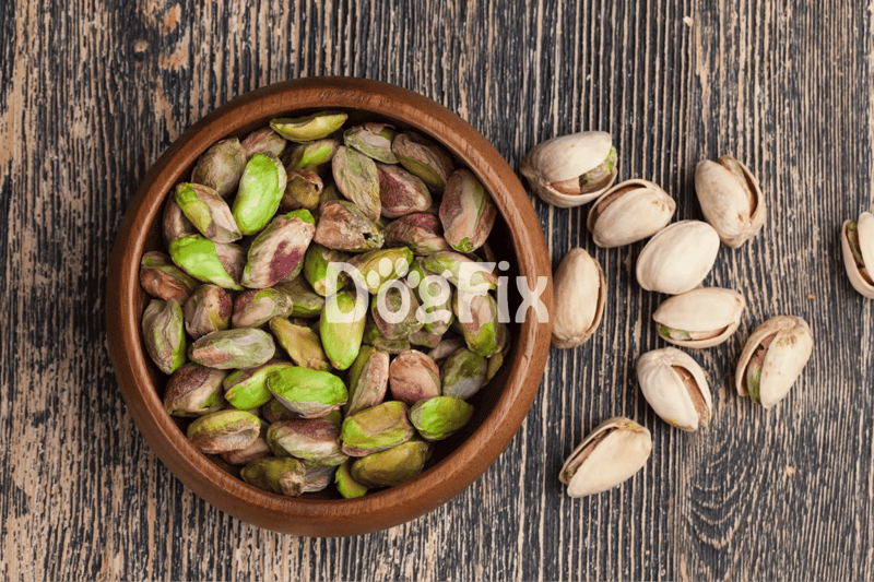 Close-up of raw pistachios in shells, ideal for healthy dog treats and pet nutrition.