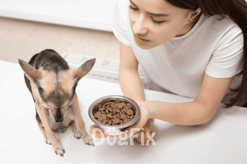 Dog nutrition, pet care tips, healthy dog feeding, dog food choices, pet nutrition guide.