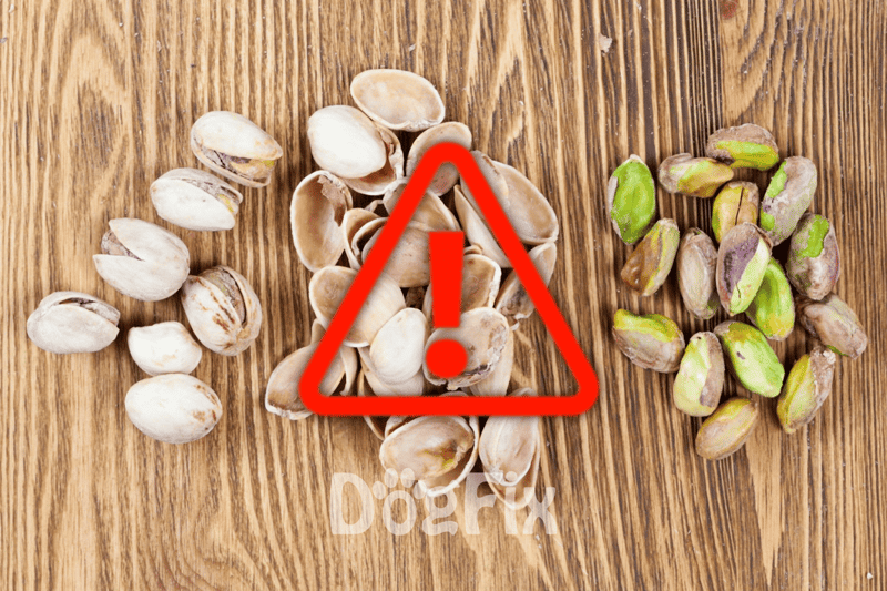 Allergen caution for nuts in pet snack ingredients—keep out of reach of pets.