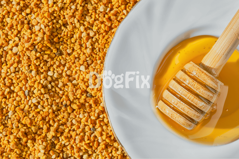 Close-up of bee pollen and honey with honey dipper, natural superfoods for dogs.