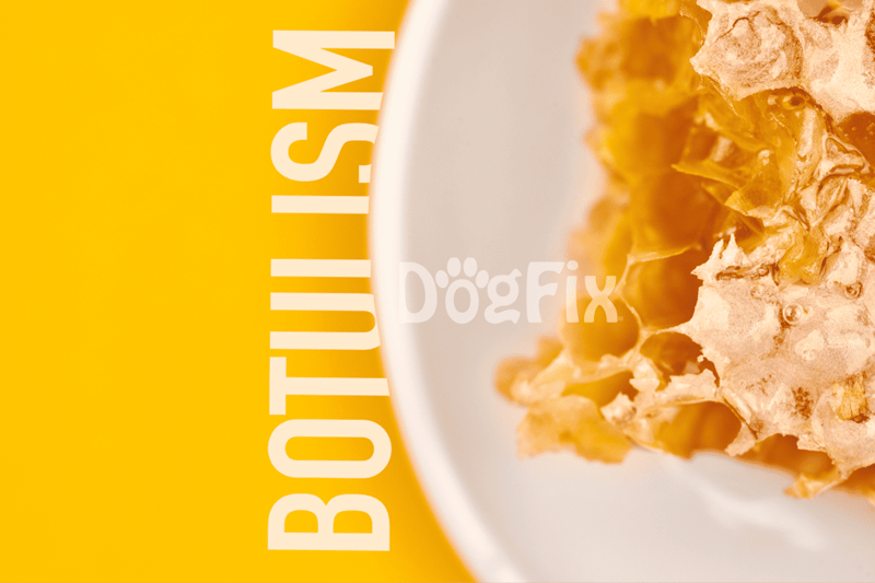 Close-up of dog-friendly honeycomb treat with honey and beeswax.