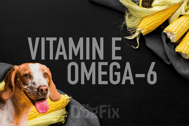 Dog with corn on black background, promoting dog health supplements.