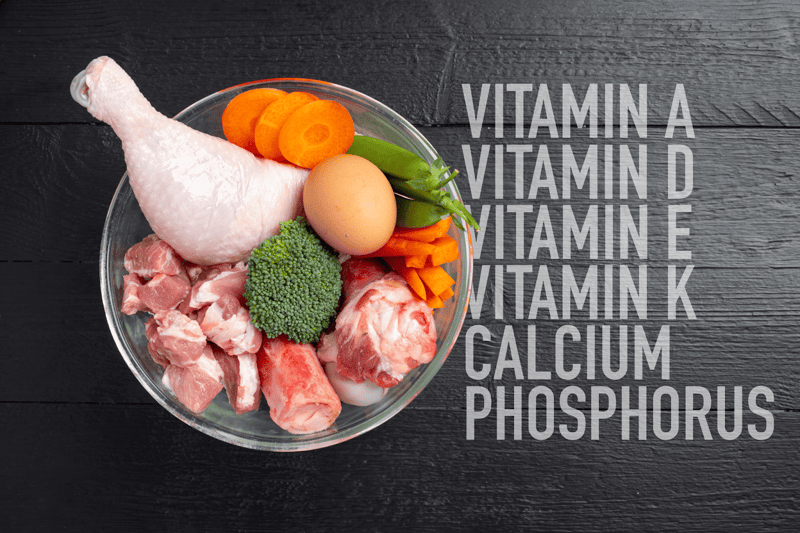 Fresh raw ingredients including chicken, eggs, vegetables for dog health.