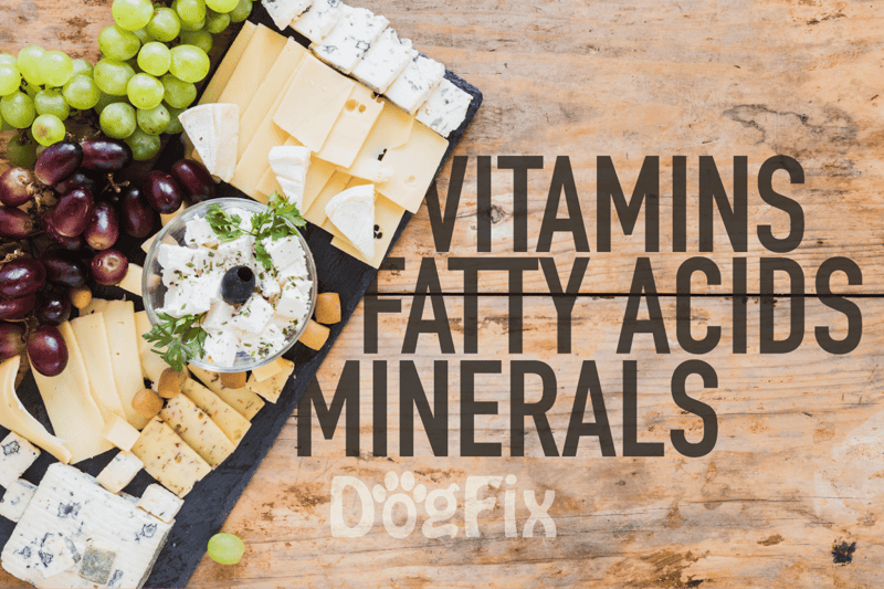 Nutritional cheese and fruit platter with grapes, blue cheese, and herbs for dogs.