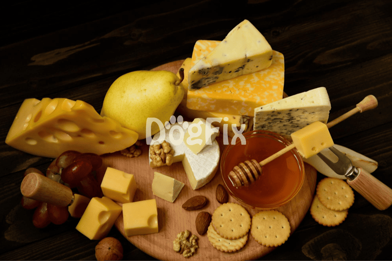 Dog-friendly cheese platter with cheeses, honey, fruit, and nuts for pets.