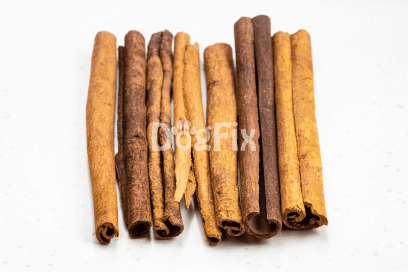 Cinnamon sticks on white background, natural dog treat, healthy dog snack, pet nutrition supplement.