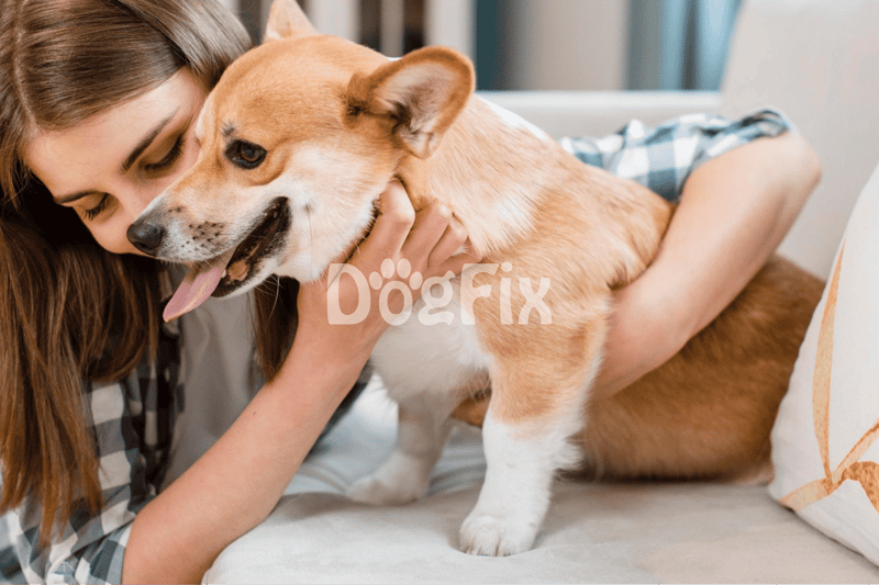 Adorable dog cuddling with owner on sofa, showing love and companionship, promoting pet care and bonding.