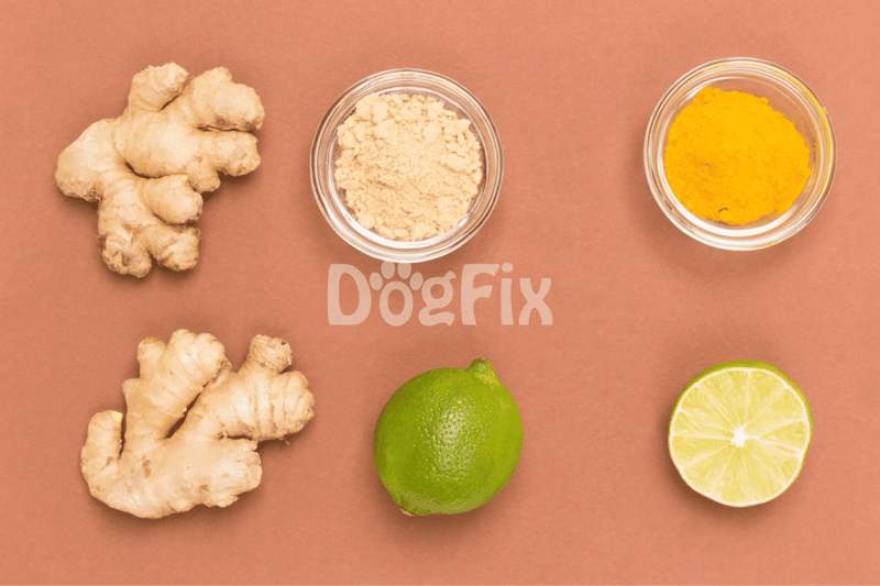 Fresh ginger root, turmeric powder, lime, and supplement powders on a pink background.