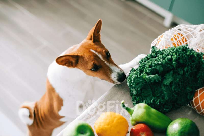 Healthy dog eating fresh vegetables and fruits for a balanced diet.