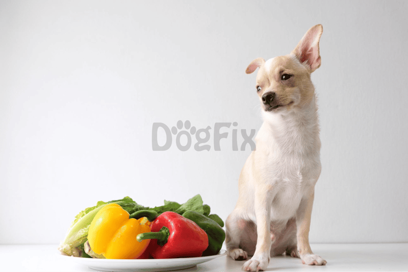 Adorable dog with fresh vegetables for healthy eating.