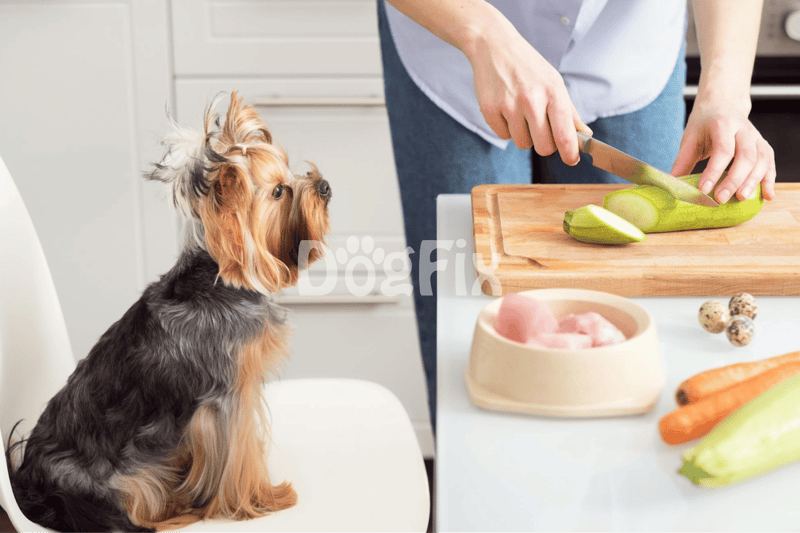 Healthy dog food preparation with vegetables and fresh ingredients.