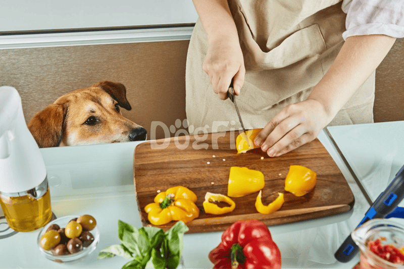 ALT text: Person slicing yellow bell peppers with dog watching eagerly at the counter.