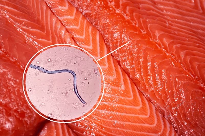 Fresh salmon fish cut with microchip and micro-needle, highlighting innovative technology in seafood sourcing.
