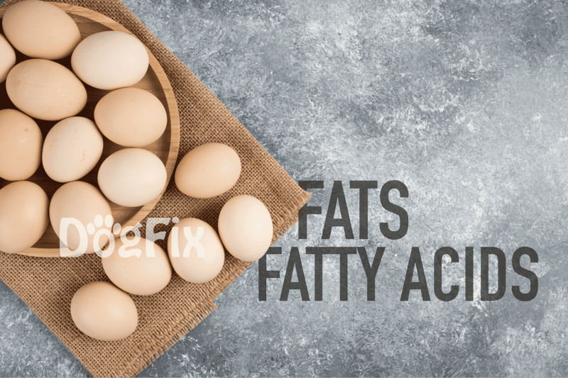 Image shows a bowl of eggs on a textured surface, highlighting diet and health nutrients for dogs.