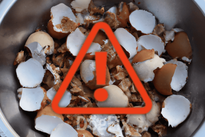 Broken eggshells and eggshell fragments, a hazard for dogs and pets, in a bowl with caution symbol.