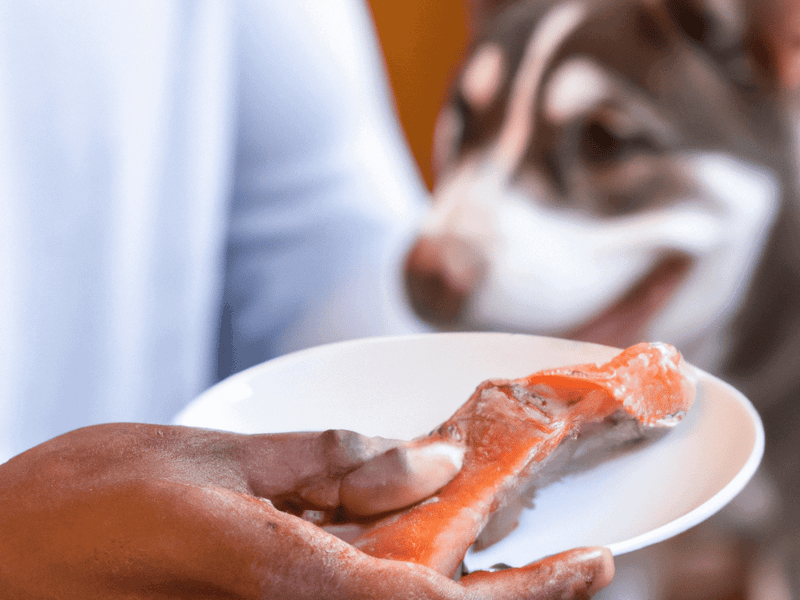 Dog treat being offered with fresh salmon piece, appealing for dog nutrition and happiness.