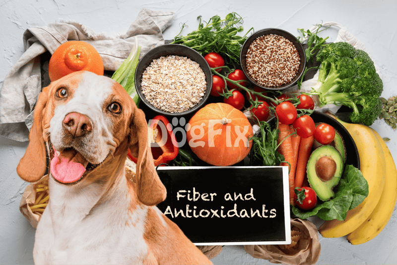 Healthy dog food with fresh produce, fiber, and antioxidants for optimal canine nutrition.