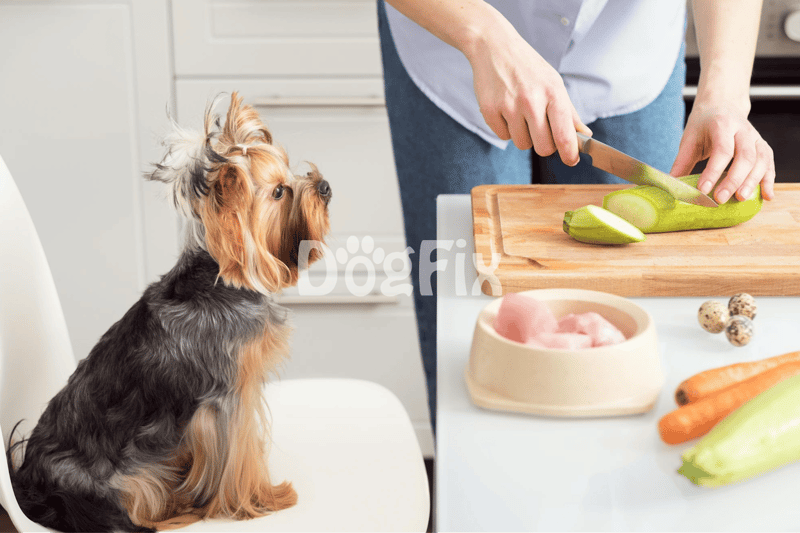 Dog watching owner prepare dog-friendly vegetables and food.