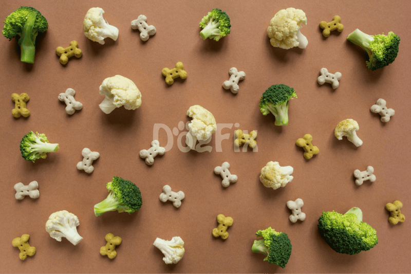 Healthy dog treats with broccoli, cauliflower, and bone-shaped biscuits.