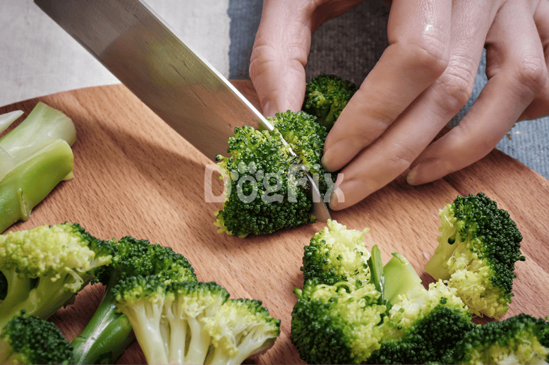 Healthy vegetables prepared for pet or human consumption.