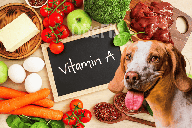 Dog-friendly vegetables and eggs for canine health.
