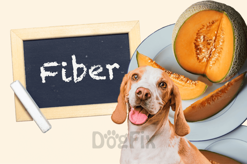 Healthy dog food with high fiber content.