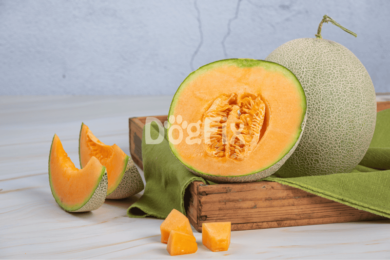 Fresh cantaloupe offers healthy hydration for dogs, rich in vitamins and nutrients.