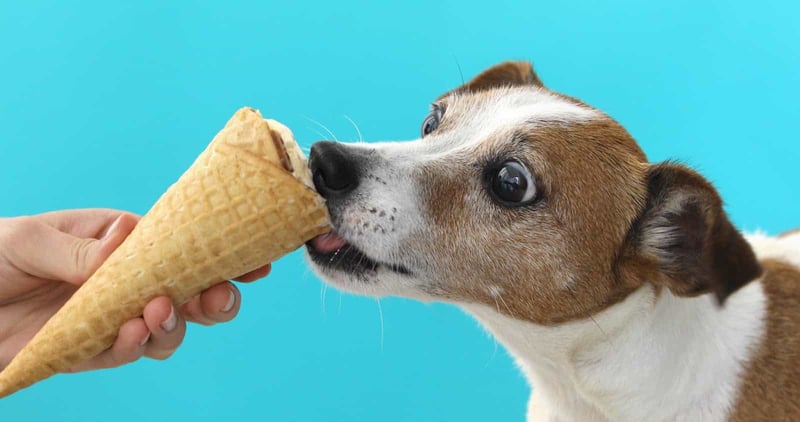 Cute puppy licking ice cream cone against blue background.