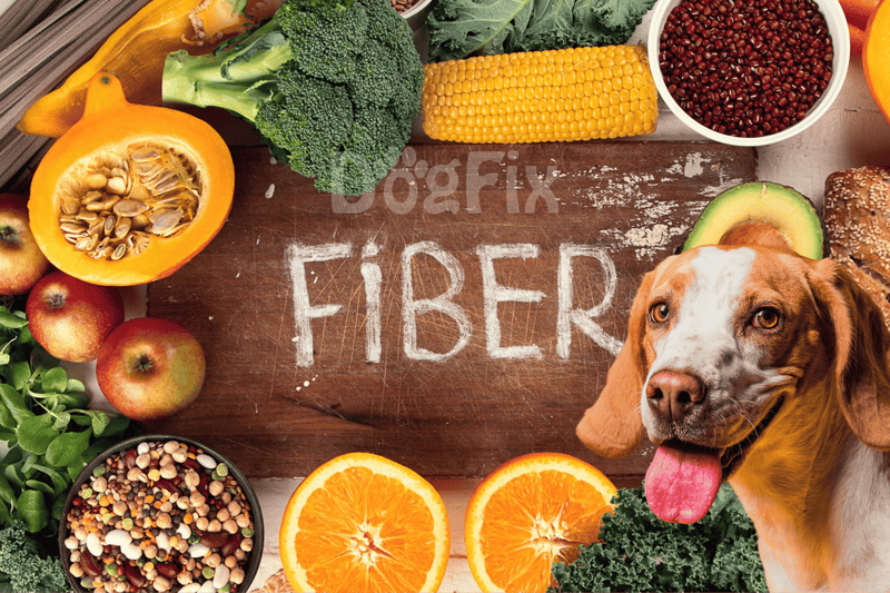 Bright, colorful dog food ingredients with fruits and vegetables.