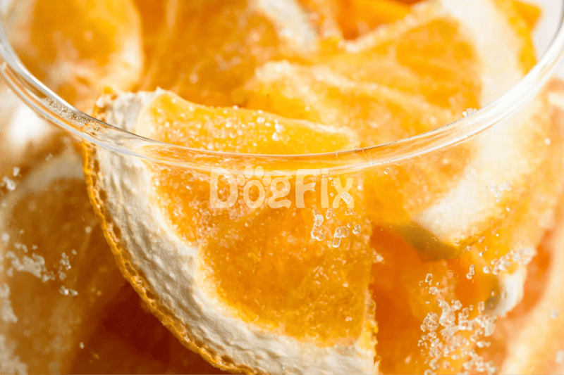 Close-up of fresh citrus slices, highlighting their texture and vibrant color, perfect for dog diet.