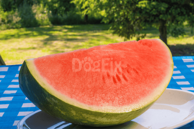 Fresh juicy watermelon slice outdoors with green trees in the background.