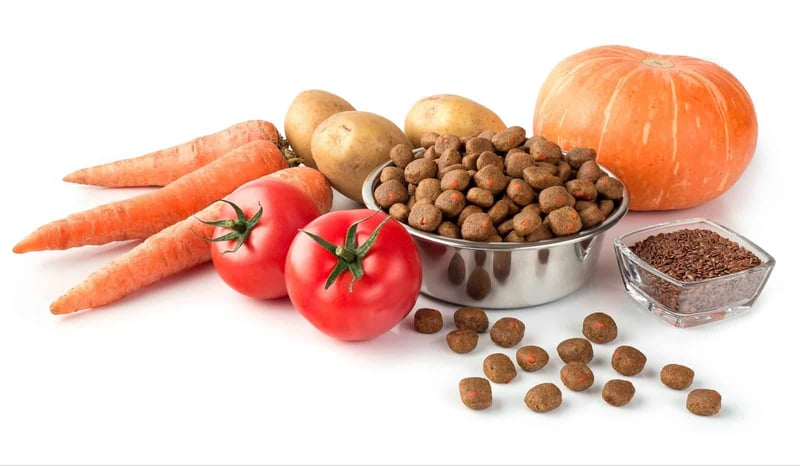 High-quality dog food ingredients including carrots, potatoes, tomatoes, pumpkin, and kibble for healthy pets.
