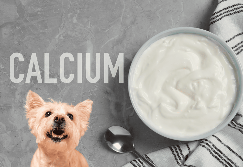 Calcium-rich dog supplement for strong bones and teeth. Perfect for pet owners prioritizing pet health and nutrition.