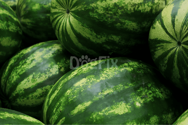 Fresh green watermelons with striped patterns, perfect for healthy fruit snacks.