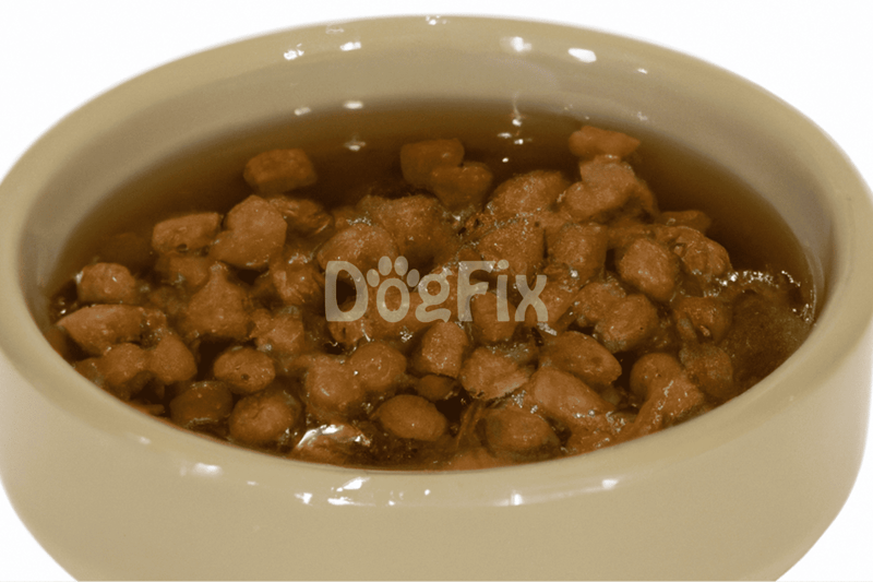 Close-up of dog food in a bowl, showing healthy, tasty meal options for pet dogs on Dogfix.com.