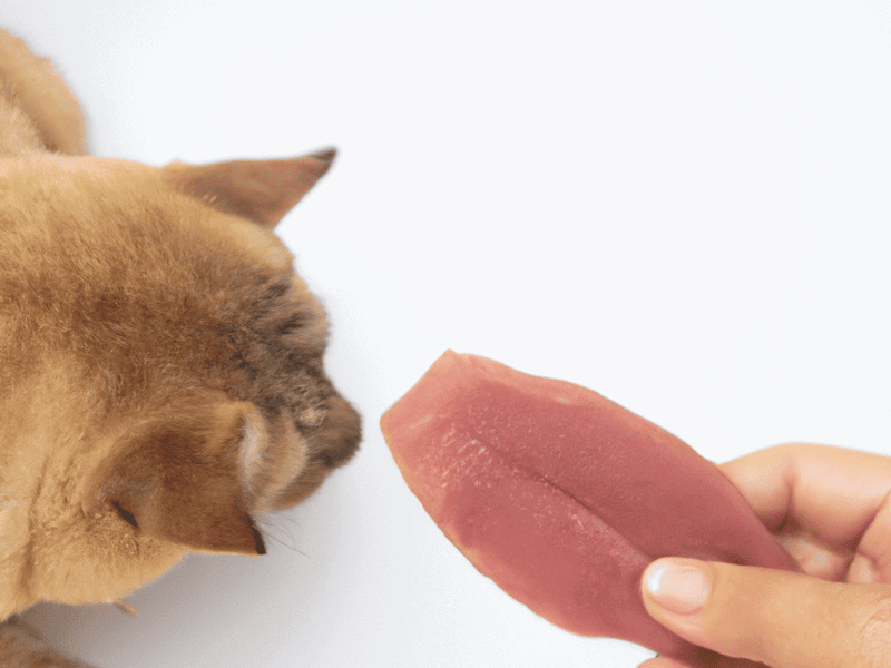 Dog-friendly, healthy dog treats for optimal pet nutrition.