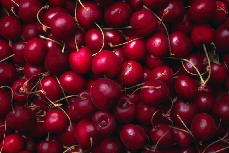 Bright red cherries with stems, highlighting natural, healthy snack options for dogs.