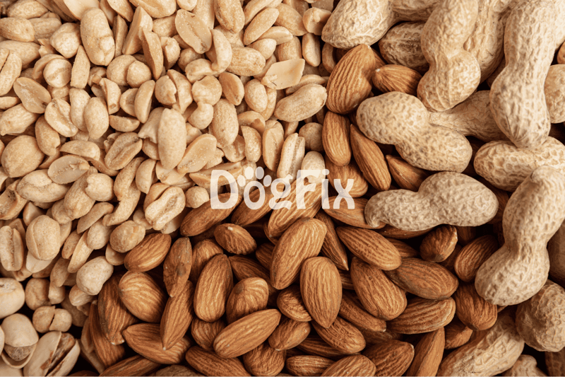 Safe and healthy dog treats made from natural, crunchy nuts.