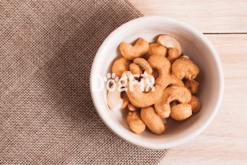 Healthy dog snacks and treats in a bowl for dog nutrition and wellness.