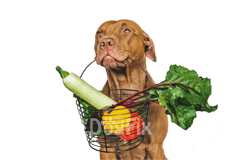 Dog with a basket of fresh vegetables, promoting nutritious dog food options.