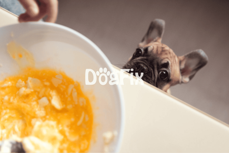 Dog looking at bowl of mashed food, preparing to eat, in a cozy kitchen setting.