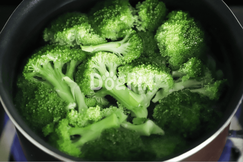 Vibrant broccoli in frying pan, perfect for nutritious homemade dog food meals.