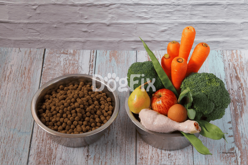 Healthy dog food ingredients: carrots, broccoli, apple, chicken, and dry kibble in bowls.