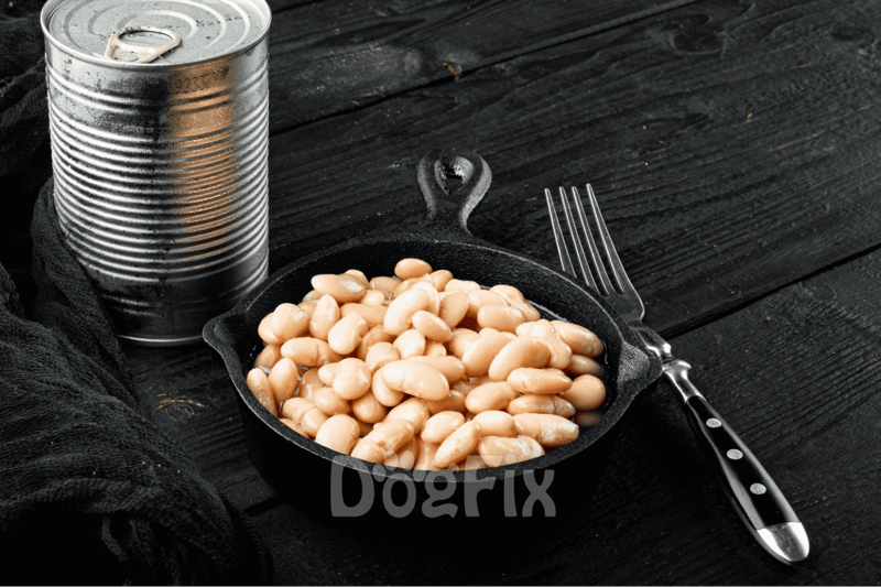 Dogfix.com: Healthy canned beans served with a fork, emphasizing pet-friendly food options and nutrition.
