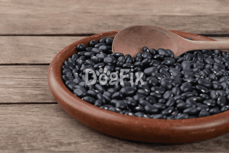 Black beans in wooden bowl with spoon, ideal nutritious meal for dogs.