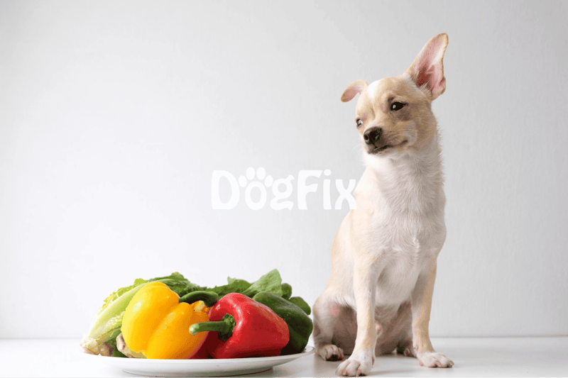 Fresh vegetables for dog health and nutrition.